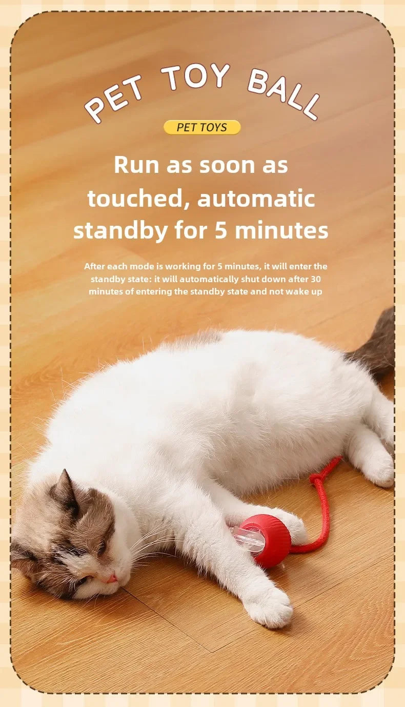 Rechargeable Smart Pet Interactive Automatic Rolling Ball Toy Cats Pet Products New Electric Dog Ball Toy Simulated Tail For Cat