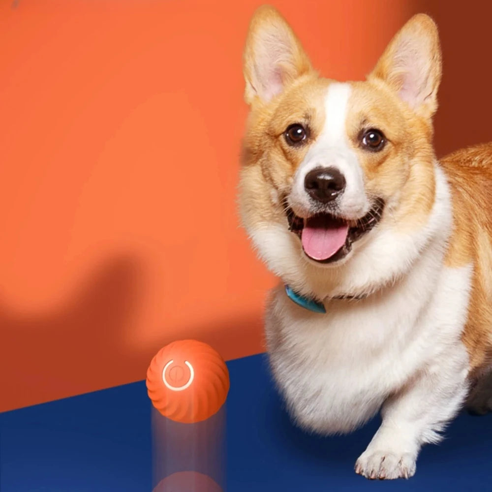 Pet Toy Ball Electronic Interactive Dog Toy Ball Electronic Interactive Smart Moving Gravity Jumping  Pet Products Rechargeable