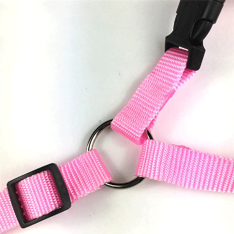 Nylon Safety Belt for Dogs Solid Color Pet Car Seat Belt Two-in-one Leash Adjustable Dog Harness Collar Products Pet Accessories