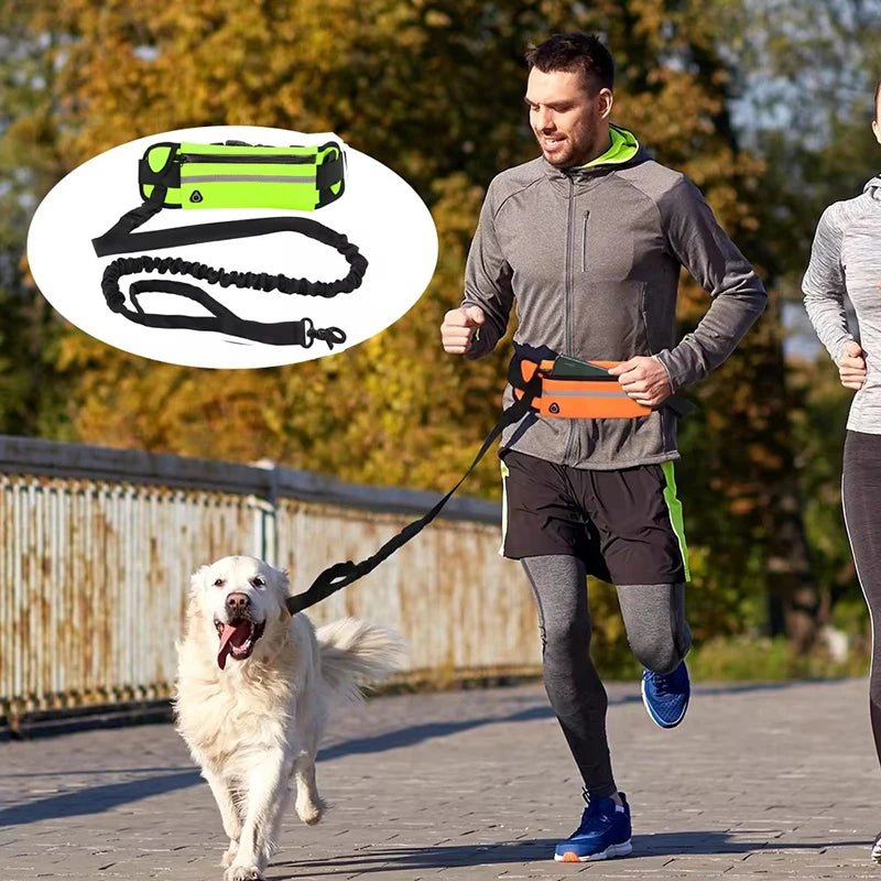 Hands Free Dog Leash for Running Walking Reflective Leash with Waist Bag Retractable Elastic Belt Dog Traction Rope Pet Products - Shopping Monks