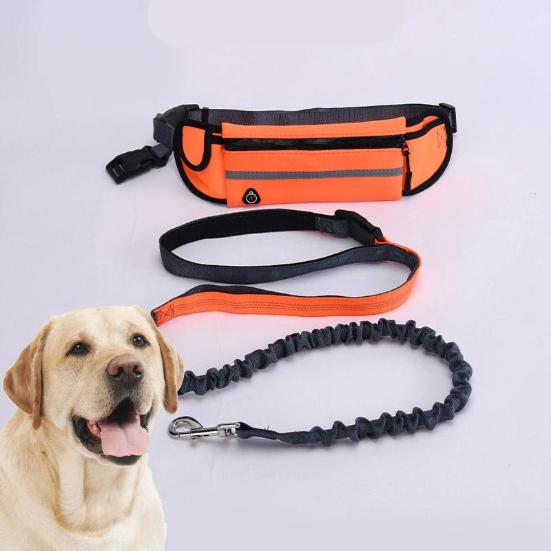 Hands Free Dog Leash for Running Walking Reflective Leash with Waist Bag Retractable Elastic Belt Dog Traction Rope Pet Products - Shopping Monks