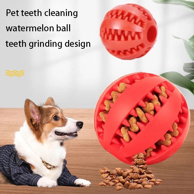 Natural Rubber Pet Dog Toys Dog Chew Toys Tooth Cleaning Treat Ball Extra - tough Interactive Elasticity Ball5cm for Pet Products - Shopping Monks