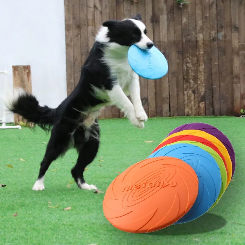 OUZEY Bite Resistant Flying Disc Toys For Dog Multifunction Pet Puppy Training Toys Outdoor Interactive Game Pet Dogs Products - Shopping Monks