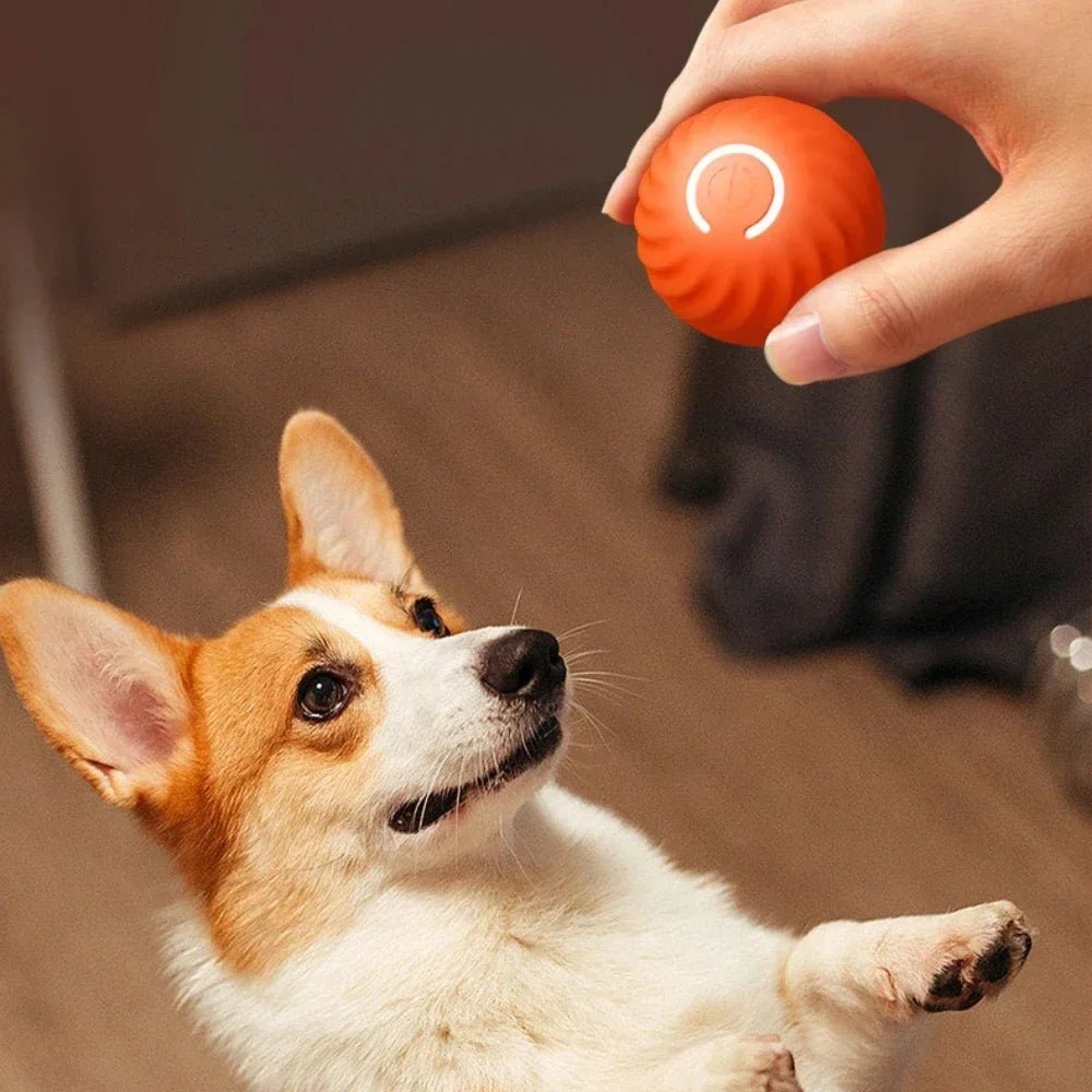 Pet Toy Ball Electronic Interactive Dog Toy Ball Electronic Interactive Smart Moving Gravity Jumping Pet Products Rechargeable - Shopping Monks