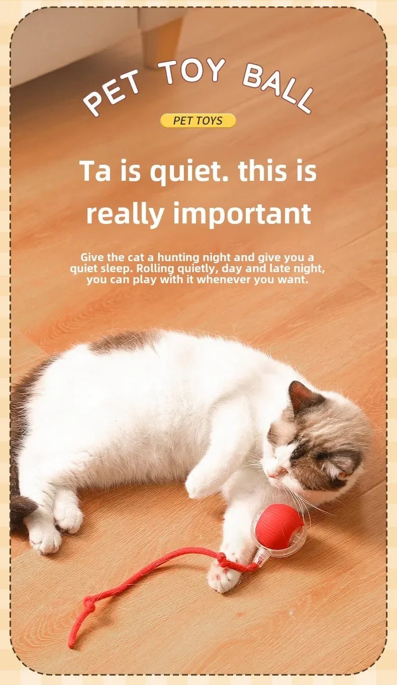 Rechargeable Smart Pet Interactive Automatic Rolling Ball Toy Cats Pet Products New Electric Dog Ball Toy Simulated Tail For Cat - Shopping Monks