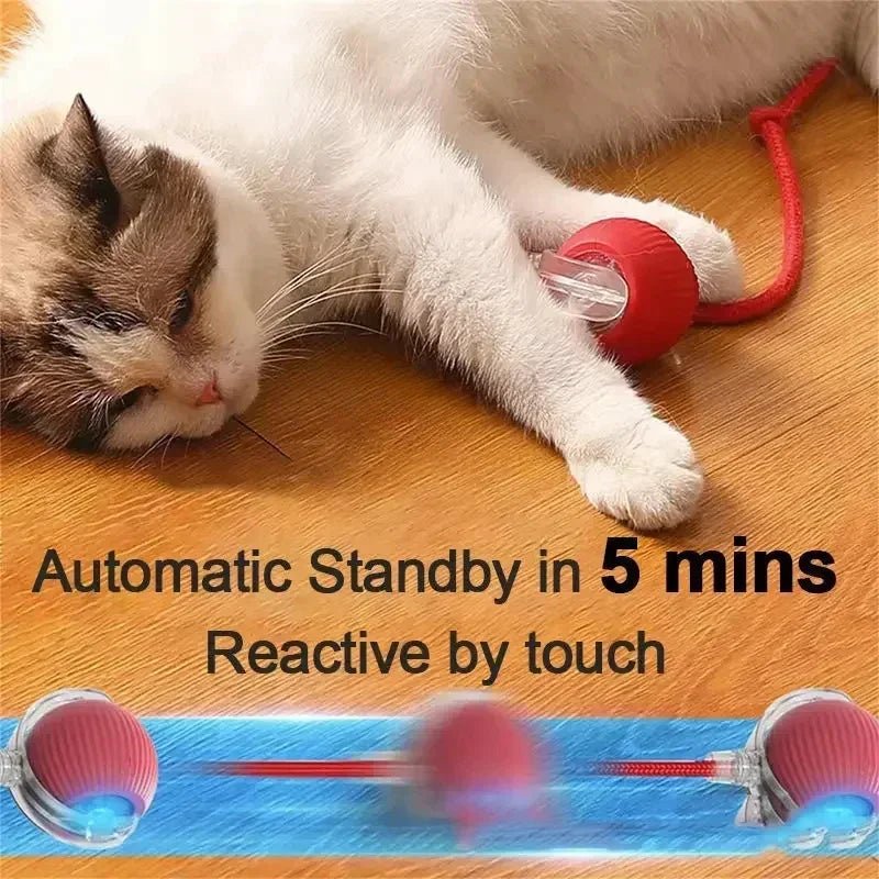 Rechargeable Smart Pet Interactive Automatic Rolling Ball Toy Cats Pet Products New Electric Dog Ball Toy Simulated Tail For Cat - Shopping Monks