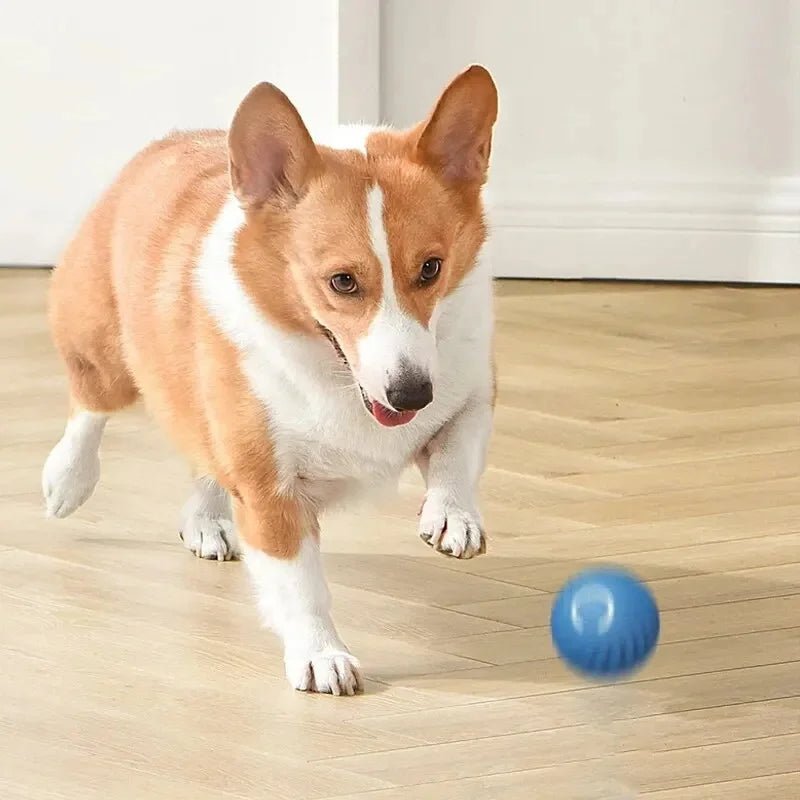 Smart Dog Toy Ball Electronic Interactive Pet Toy Moving Ball USB Automatic Moving Bouncing for Puppy Birthday Gift Cat Products - Shopping Monks