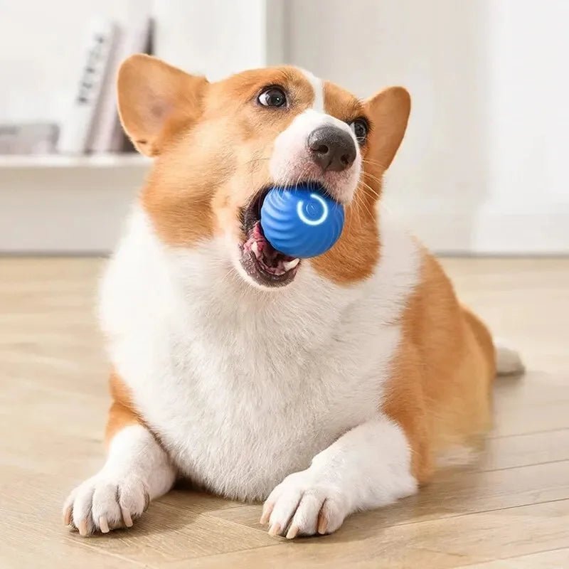 Smart Dog Toy Ball Electronic Interactive Pet Toy Moving Ball USB Automatic Moving Bouncing for Puppy Birthday Gift Cat Products - Shopping Monks