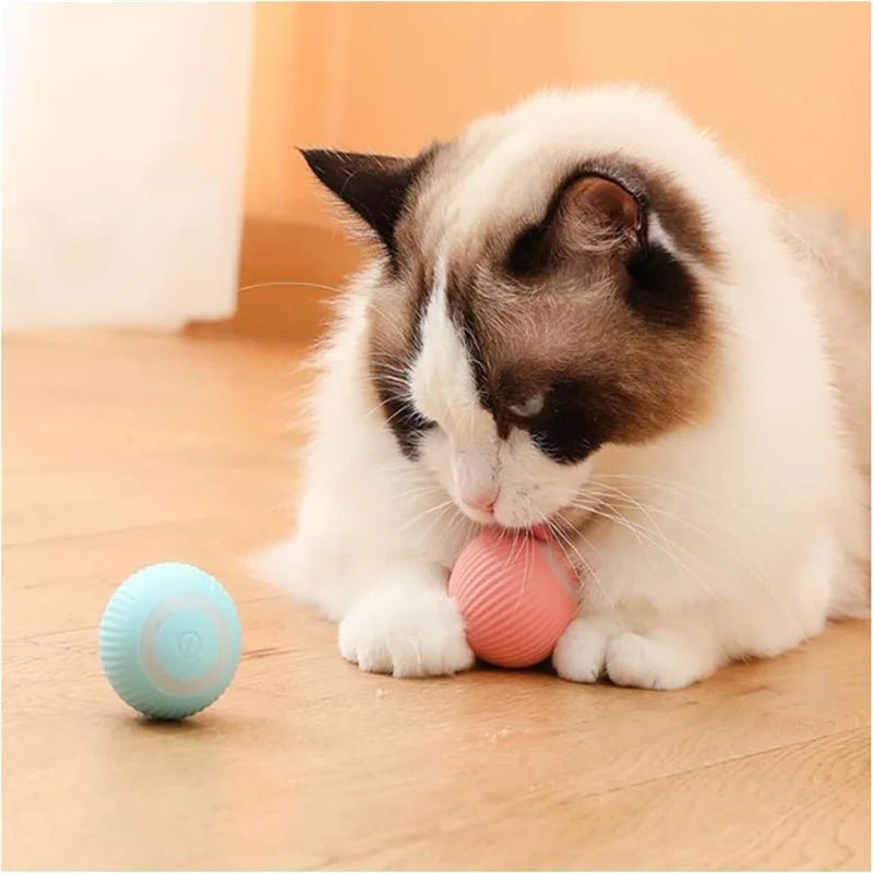 Smart Dog Toy Ball Electronic Interactive Pet Toy Moving Ball USB Automatic Moving Bouncing for Puppy Birthday Gift Cat Products - Shopping Monks